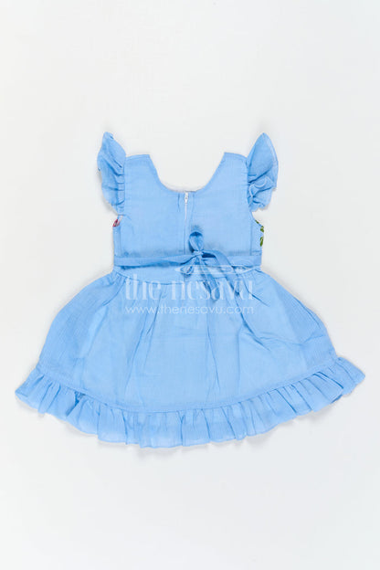 The Nesavu Baby Cotton Frocks Baby Girl Frock for Daily Wear and Playtime Comfort Nesavu Nesavu Baby Girl Cotton Frock For Daily Wear And Playtime With Floral Embroidery And Soft Frill Design