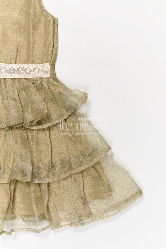The Nesavu Girls Cotton Frock Baby Girl Sleeveless Frock for Birthday Party and Family Outings Nesavu Nesavu baby girl sleeveless frock with ruffle layers for birthdays and celebrations