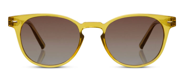 Boho II: Brown Sunglasses