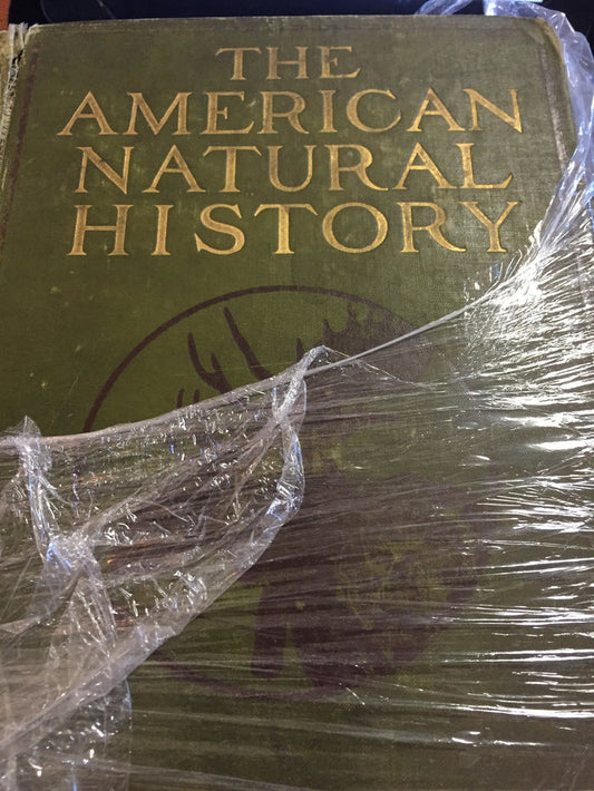 BOOKS - The American Natural History