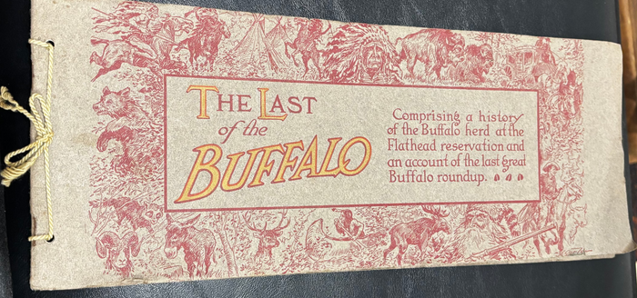BOOKS - The Last of the Buffalo: Return to the Wild