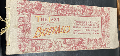 BOOKS - The Last of the Buffalo: Return to the Wild
