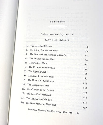BOOKS - The Rise of Theodore Roosevelt