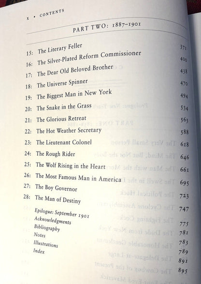 BOOKS - The Rise of Theodore Roosevelt