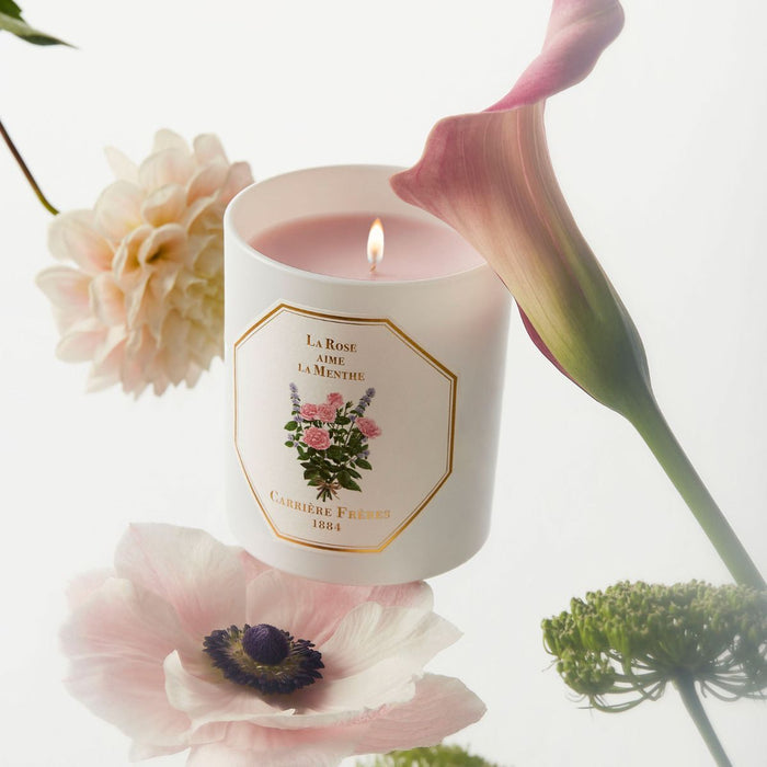 Carrière Frères | Rose Mint Candle - Carrière Frères - Living with Ivey