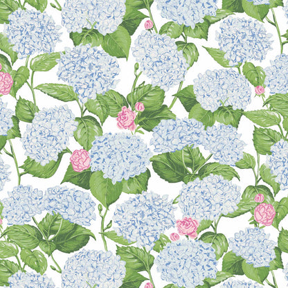 Classic Hydrangea - Champagne