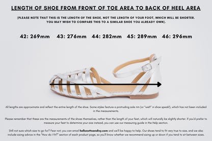 Measurement diagram displaying lengths of womens large size shoes in sizes 42,43,44,45 and 46.