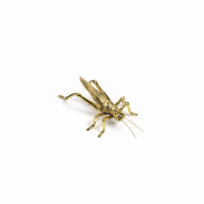 Decorative Gold Grasshopper - Decorative Accessories by Carlyle Avenue