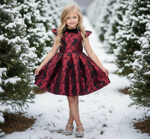 EVANGELINE DRESS CRIMSON JACQUARD