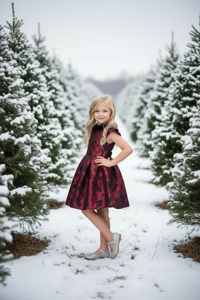EVANGELINE DRESS CRIMSON JACQUARD