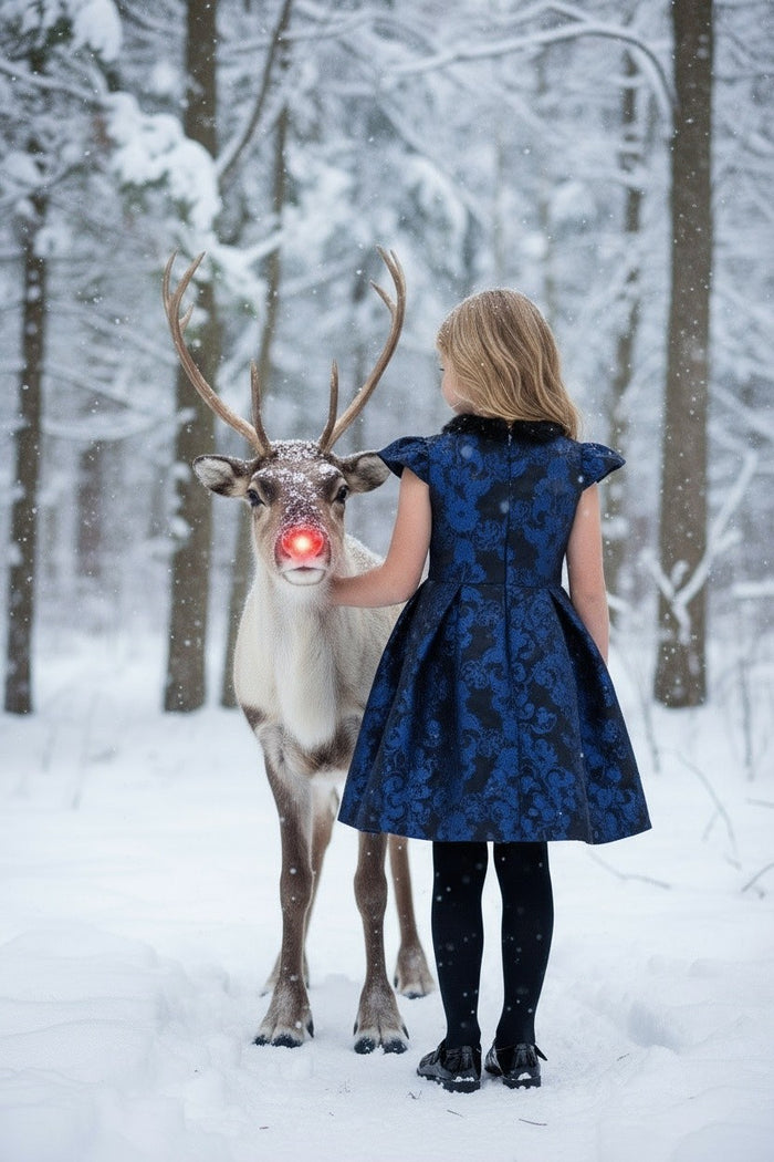 EVANGELINE DRESS NAVY JACQUARD