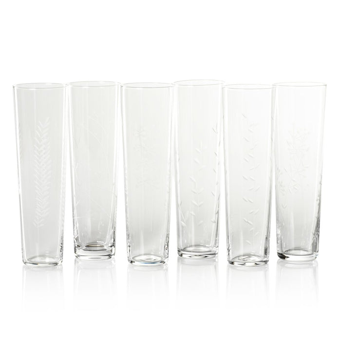 Flora Etched Flute - Set of Six Assorted - Drinkware by Carlyle Avenue