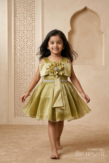The Nesavu Girls Fancy Party Frock Girls Fancy Party Frock for Birthdays and Special Events Nesavu 16 (1Y) / Yellow / Organza PF289A-16 Nesavu girls glaze organza fancy party frock for birthdays