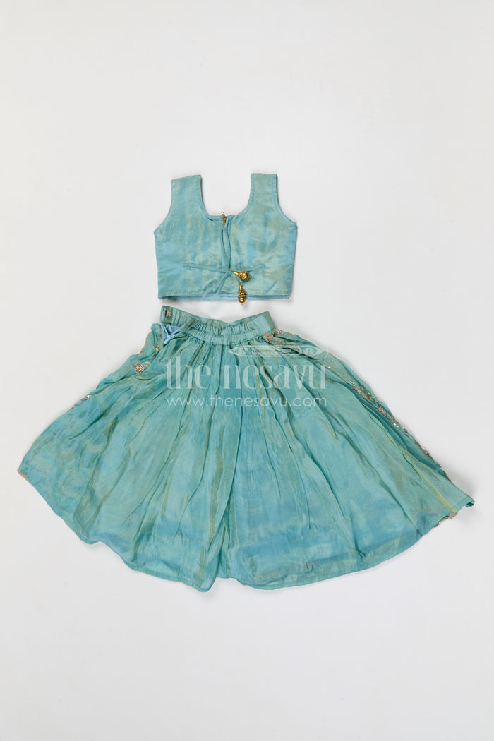 The Nesavu Girls Lehenga Choli Girls Lehenga Choli for Weddings and Function Nesavu Nesavu girls festive lehenga choli for weddings and celebrations viscose silk outfit with designer embroidery