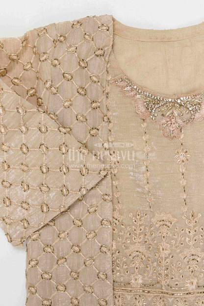 The Nesavu Girls Sharara / Plazo Set Girls Sharara Set for Weddings Nesavu Nesavu girls crushed tissue organza sharara set with designer embroidery for weddings and celebrations