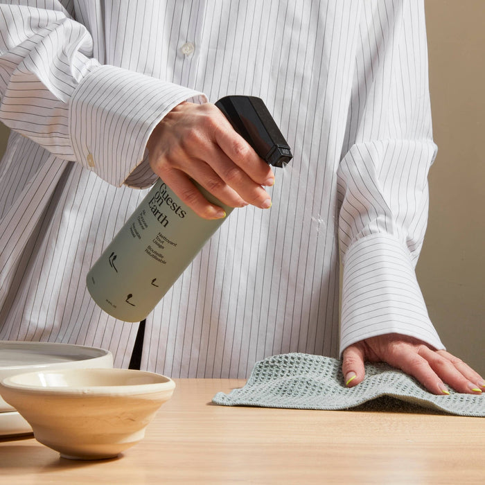 Guests on Earth | Citrus Oasis All-Purpose Cleaner - Guests on Earth - Living with Ivey