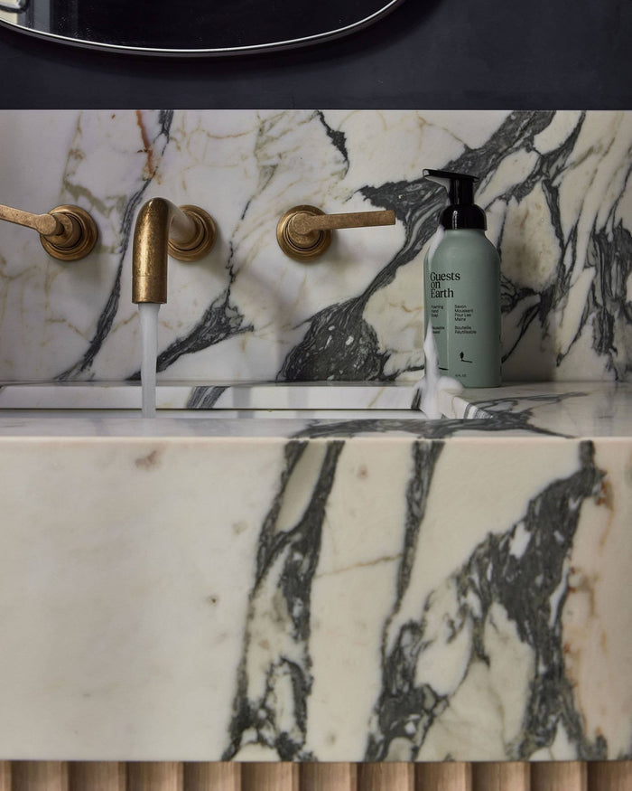 Guests on Earth | Citrus Oasis Foaming Hand Soap - Guests on Earth - Living with Ivey