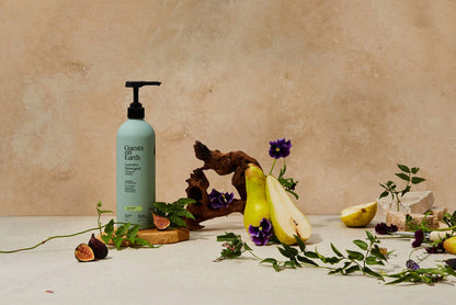 Guests on Earth | Green Hinoki Laundry Detergent - Guests on Earth - Living with Ivey