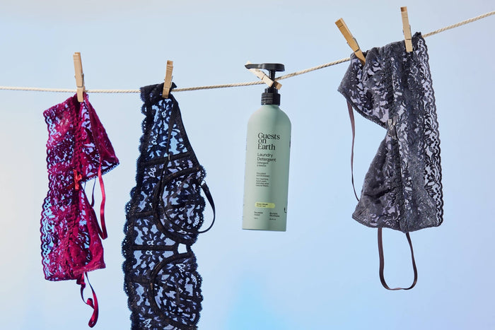 Guests on Earth | Green Hinoki Laundry Detergent - Guests on Earth - Living with Ivey