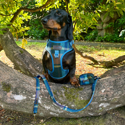 Heritage Hounds Tweed Dog Harness