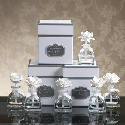 Illuminaria Mini Porcelain Diffuser - REFILL - Set of 6 - Diffusers by Carlyle Avenue