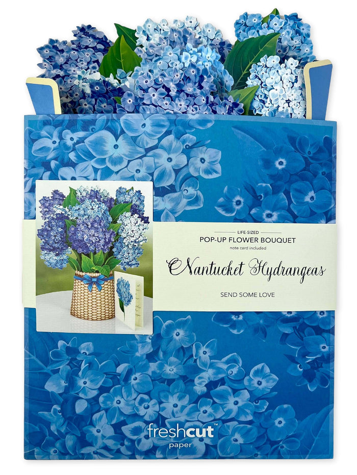 Nantucket Hydrangeas |  Pop-up Greeting Cards