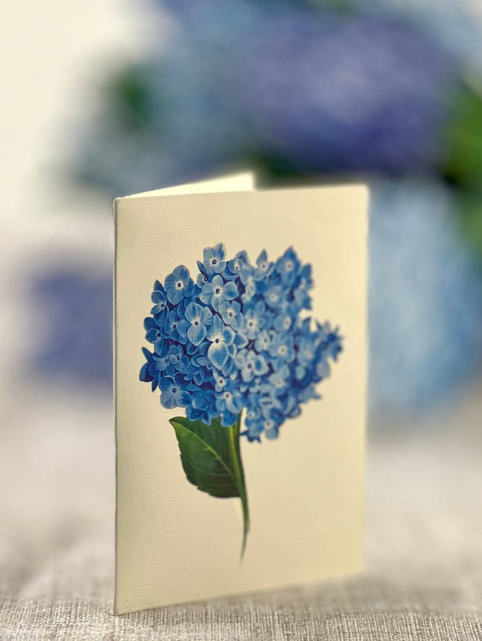 Nantucket Hydrangeas |  Pop-up Greeting Cards
