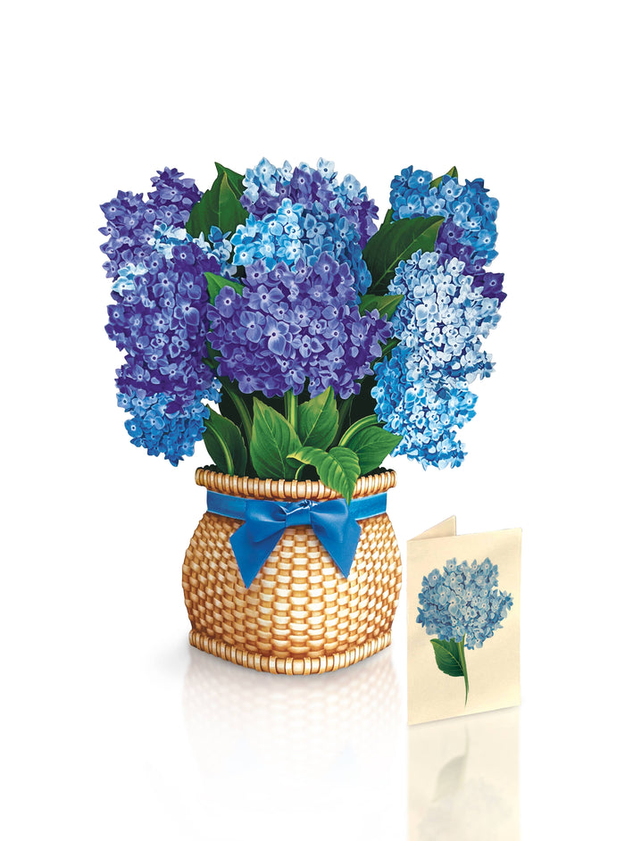 Nantucket Hydrangeas |  Pop-up Greeting Cards