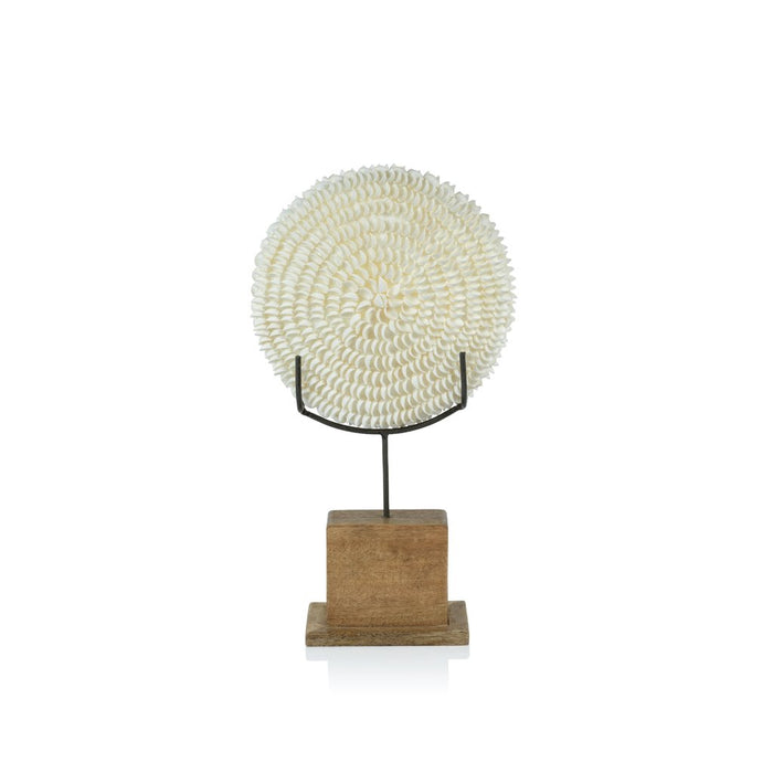 Natural Clamrose Sea Shells on Wood Stand - Decorative Accessories by Carlyle Avenue