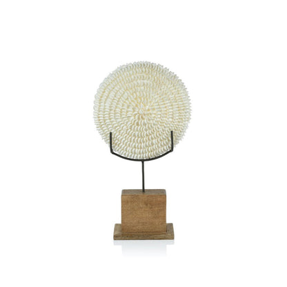 Natural Clamrose Sea Shells on Wood Stand - Decorative Accessories by Carlyle Avenue