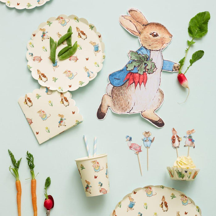 Peter Rabbit & Friends Dinner Plates