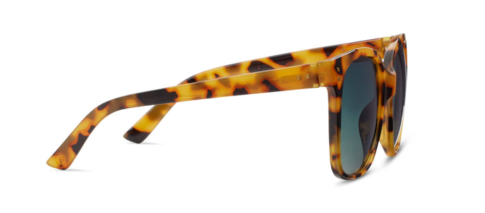 Poolside : Tokyo Tortois Sunglasses