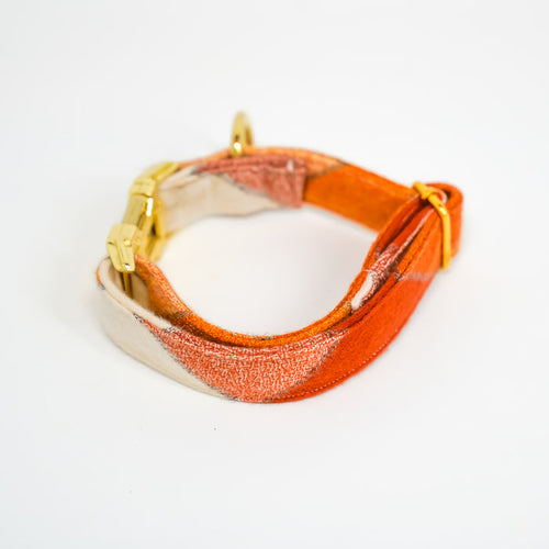 Pumpkin Spice Flannel Dog Collar