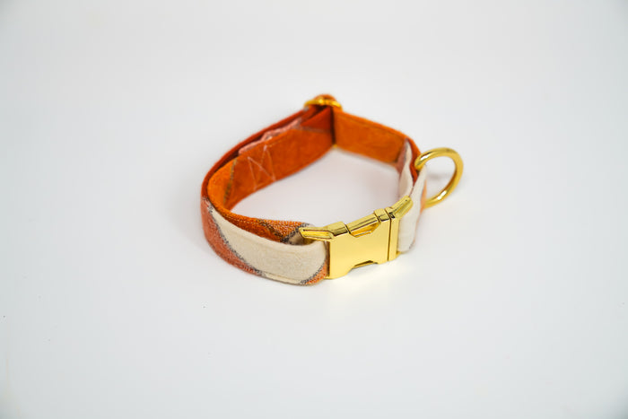 Pumpkin Spice Flannel Dog Collar