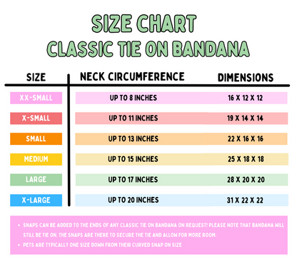 Rainbow Children's Books (July Monthly Mystery) - Bandana