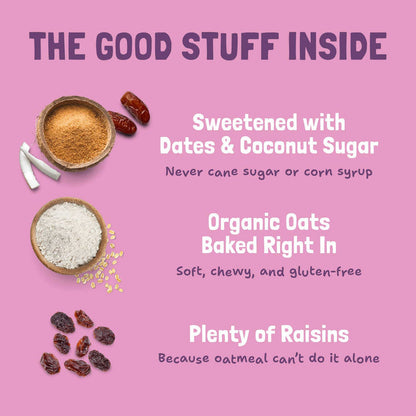 Skout Organic | Oatmeal Raisin Soft Baked Cookies - Skout Organic - Living with Ivey