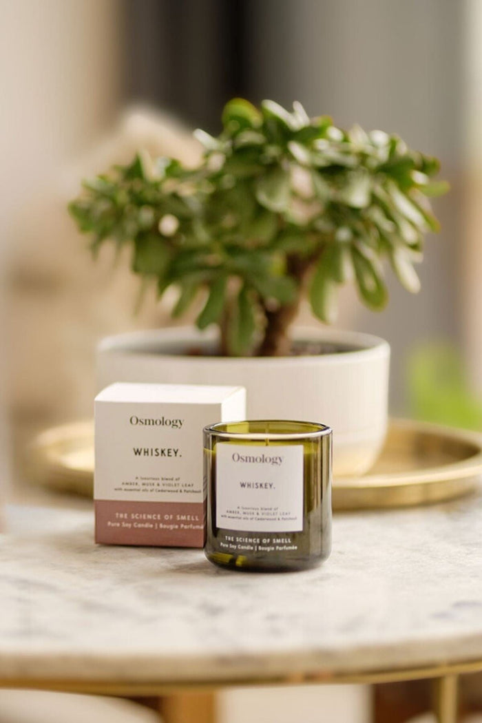 Whiskey Scented Candle