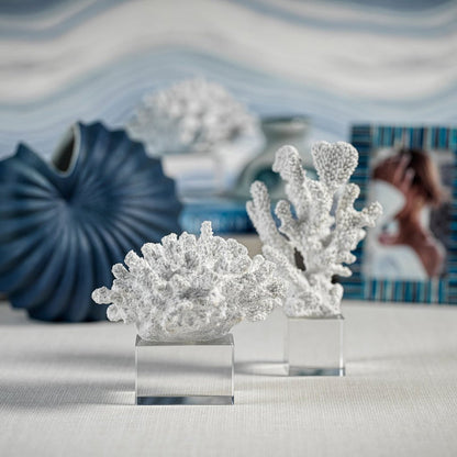 White Coral on Acrylic Base - Decorative Accessories by Carlyle Avenue