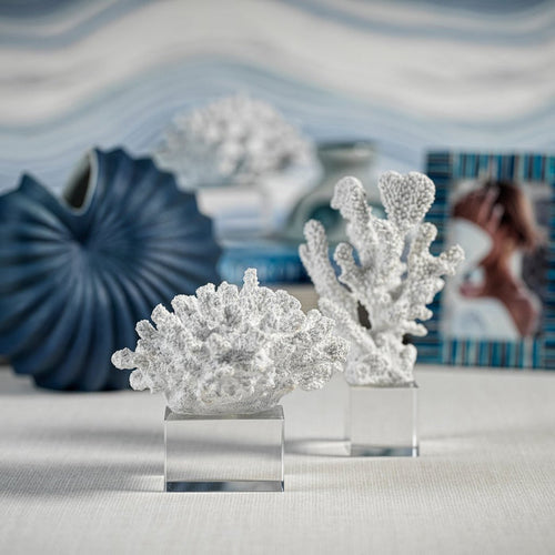 White Coral on Acrylic Base - Decorative Accessories by Carlyle Avenue