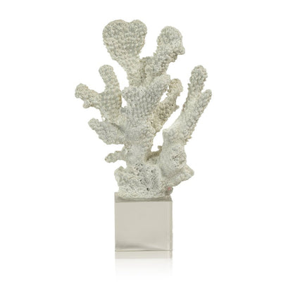 White Coral on Acrylic Base - Decorative Accessories by Carlyle Avenue