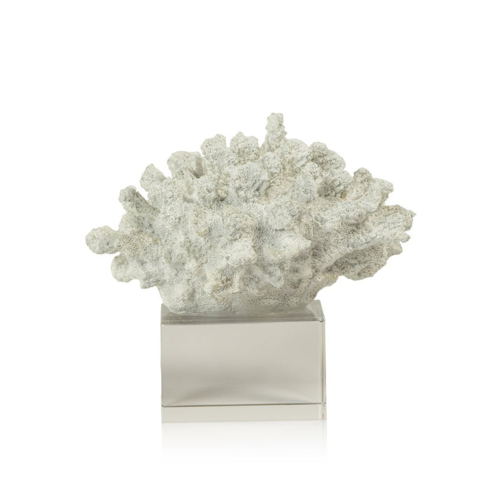 White Coral on Acrylic Base - Decorative Accessories by Carlyle Avenue