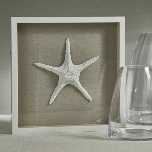 White Framed Starfish - Decorative Accessories by Carlyle Avenue