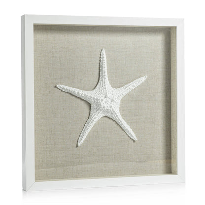 White Framed Starfish - Decorative Accessories by Carlyle Avenue